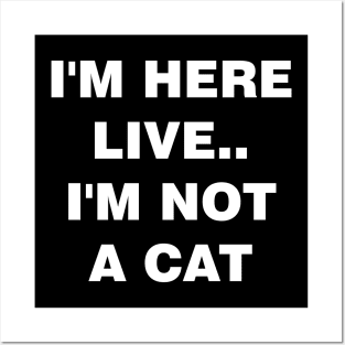 I'm Here Live Im Not A Cat Posters and Art